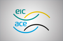 Association for Consultancy and Engineering and the Environmental Industries Commission (ACE Group)